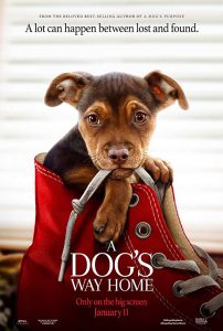 movie image "A dog's way home"