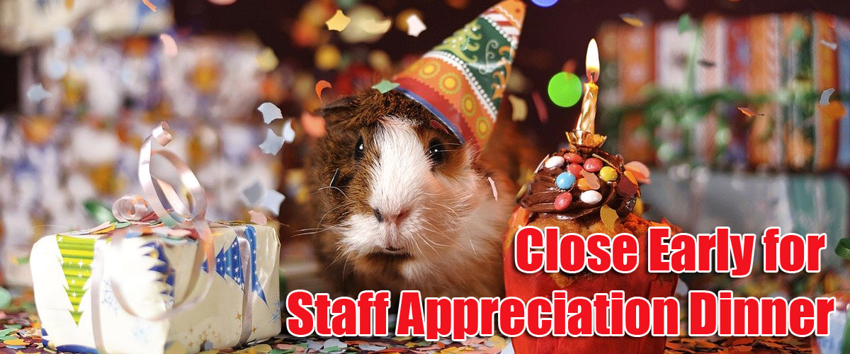 close early for staff appreciation