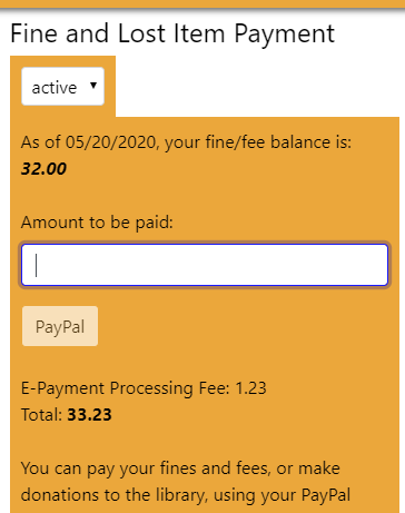 Fine and lost item payment