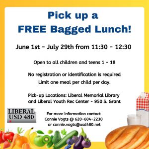 2022 USD 480 Summer Lunches