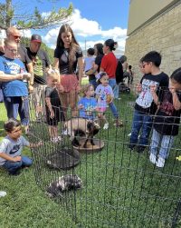 On July 2nd, the library was overrun with adorable chaos as llamas, piglets, goats, and kangaroos took charge!