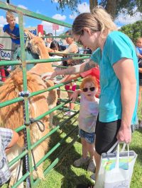 On July 2nd, the library was overrun with adorable chaos as llamas, piglets, goats, and kangaroos took charge!