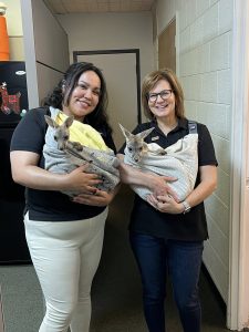On July 2nd, the library was overrun with adorable chaos as llamas, piglets, goats, and kangaroos took charge!