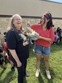 On July 2nd, the library was overrun with adorable chaos as llamas, piglets, goats, and kangaroos took charge!