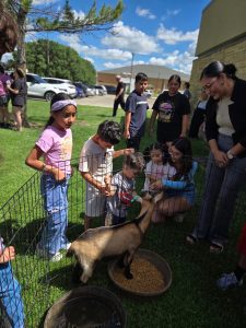On July 2nd, the library was overrun with adorable chaos as llamas, piglets, goats, and kangaroos took charge!