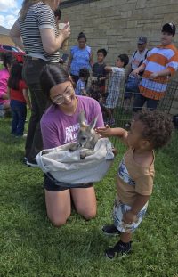 On July 2nd, the library was overrun with adorable chaos as llamas, piglets, goats, and kangaroos took charge!