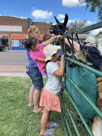 On July 2nd, the library was overrun with adorable chaos as llamas, piglets, goats, and kangaroos took charge!
