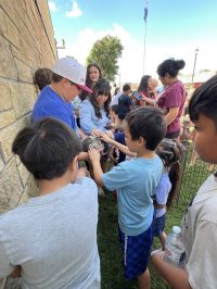 On July 2nd, the library was overrun with adorable chaos as llamas, piglets, goats, and kangaroos took charge!