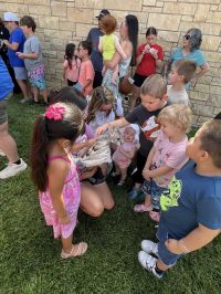 On July 2nd, the library was overrun with adorable chaos as llamas, piglets, goats, and kangaroos took charge!