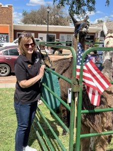 On July 2nd, the library was overrun with adorable chaos as llamas, piglets, goats, and kangaroos took charge!