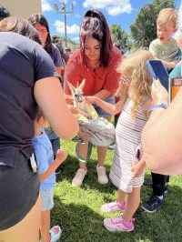 On July 2nd, the library was overrun with adorable chaos as llamas, piglets, goats, and kangaroos took charge!