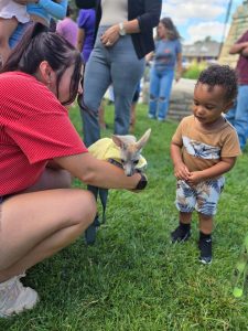 On July 2nd, the library was overrun with adorable chaos as llamas, piglets, goats, and kangaroos took charge!