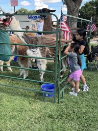 On July 2nd, the library was overrun with adorable chaos as llamas, piglets, goats, and kangaroos took charge!