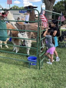 On July 2nd, the library was overrun with adorable chaos as llamas, piglets, goats, and kangaroos took charge!