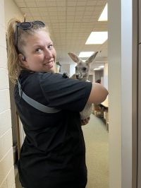 On July 2nd, the library was overrun with adorable chaos as llamas, piglets, goats, and kangaroos took charge!