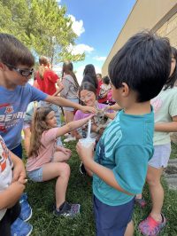 On July 2nd, the library was overrun with adorable chaos as llamas, piglets, goats, and kangaroos took charge!