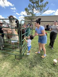 On July 2nd, the library was overrun with adorable chaos as llamas, piglets, goats, and kangaroos took charge!