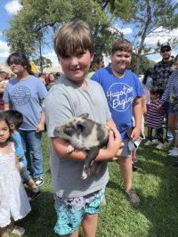 On July 2nd, the library was overrun with adorable chaos as llamas, piglets, goats, and kangaroos took charge!